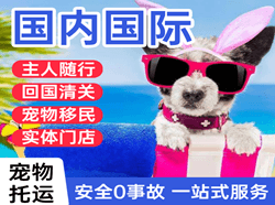 大同云冈航空邮寄国际宠物托运 【国